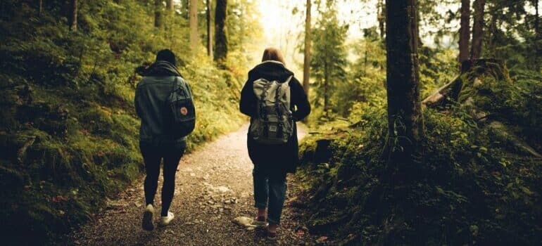 Two people walking in the forest.