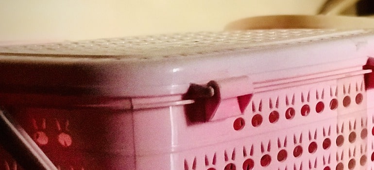 A plastic bin as a part of packing with plastic storage bins guide