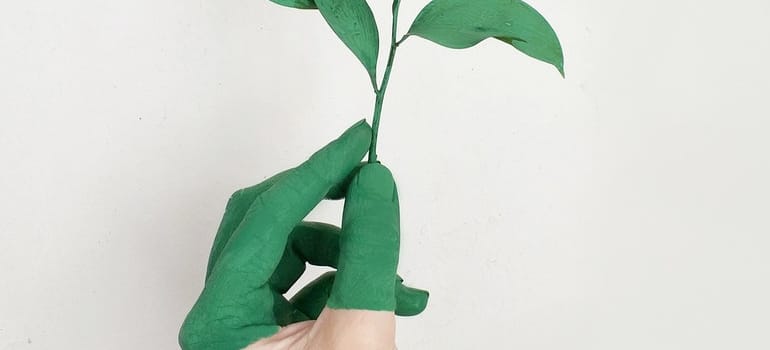 a hand holding a plan