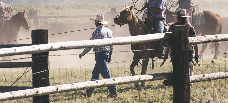 People riding horses