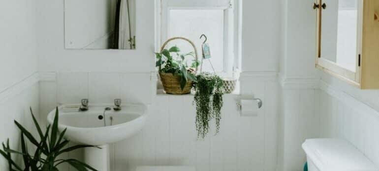 white ceramic bathroom with plants