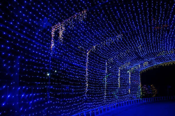 Austin Trail of Lights Fun Run 