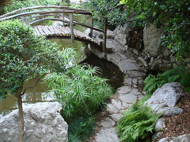 The 2022 Austin City Guide  