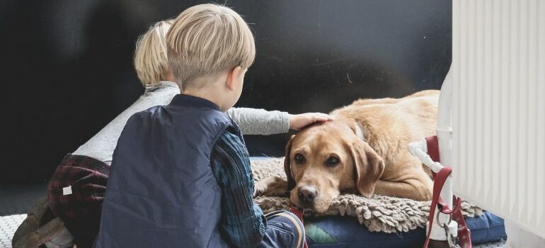 kids preparing for moving from South Austin with a pet