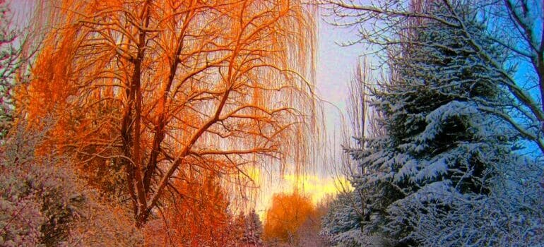 changing seasons highlighting perks of using pick up and delivery storage solutions 