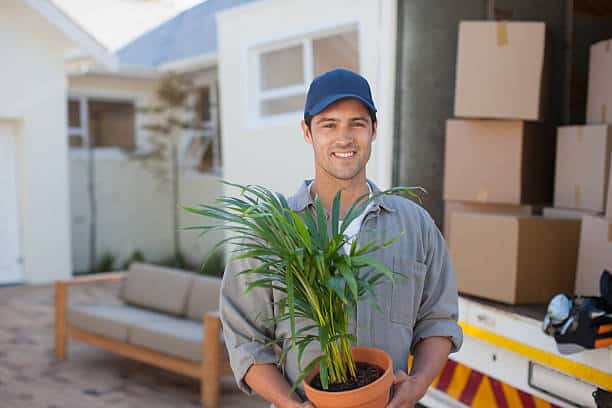 How to work with your moving company