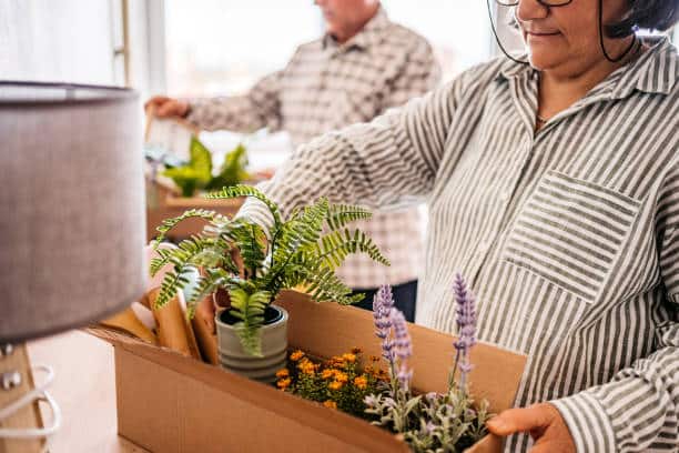 How to pack plants effectively for moving