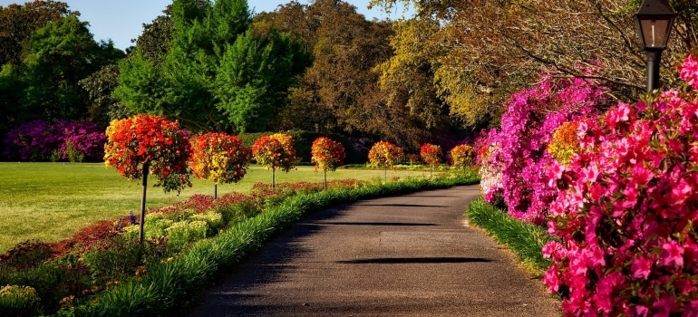 an image of a park in one of South Austin neighborhoods