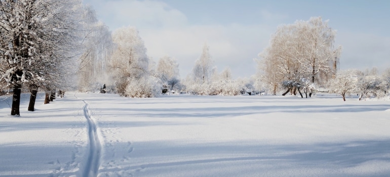 Image of a winter park