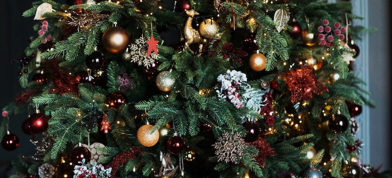 Ornaments on a Christmas tree