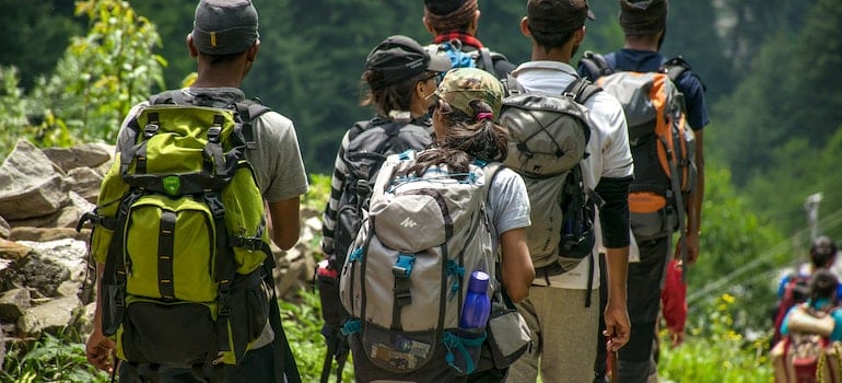 People walking on road near trees at daytime