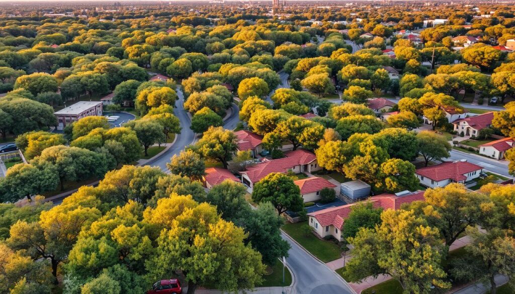 HeavenlyMove Bryker Woods